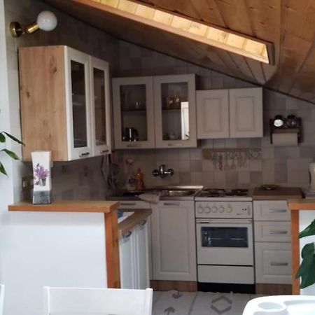 Apartment Gaudeamus Umag Exterior photo